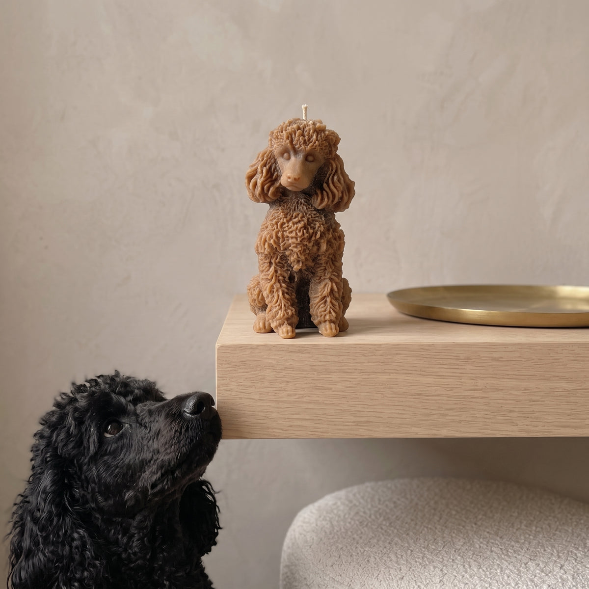 Poodle Puppy Candle