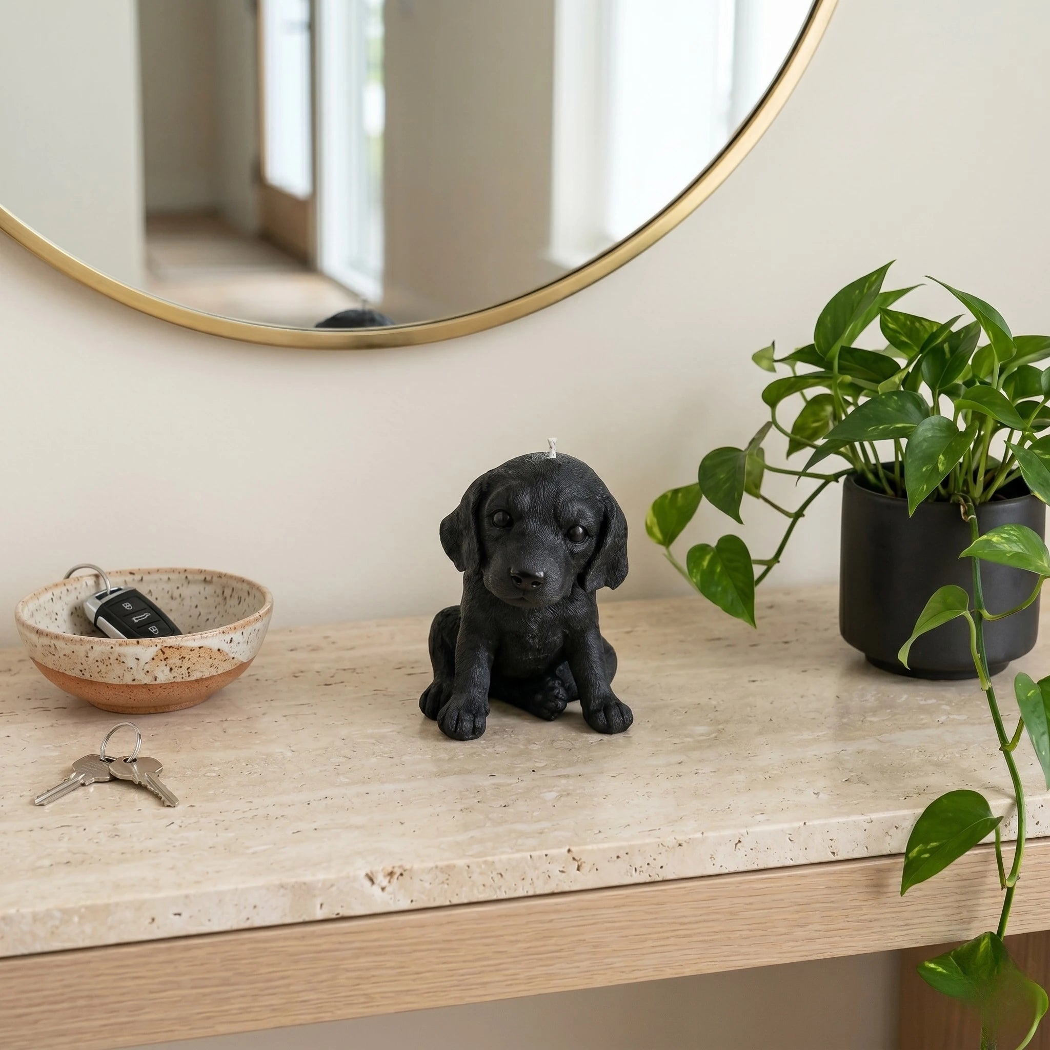 Black beagle puppy candle lifestyle on entryway shelf with mirror and plant