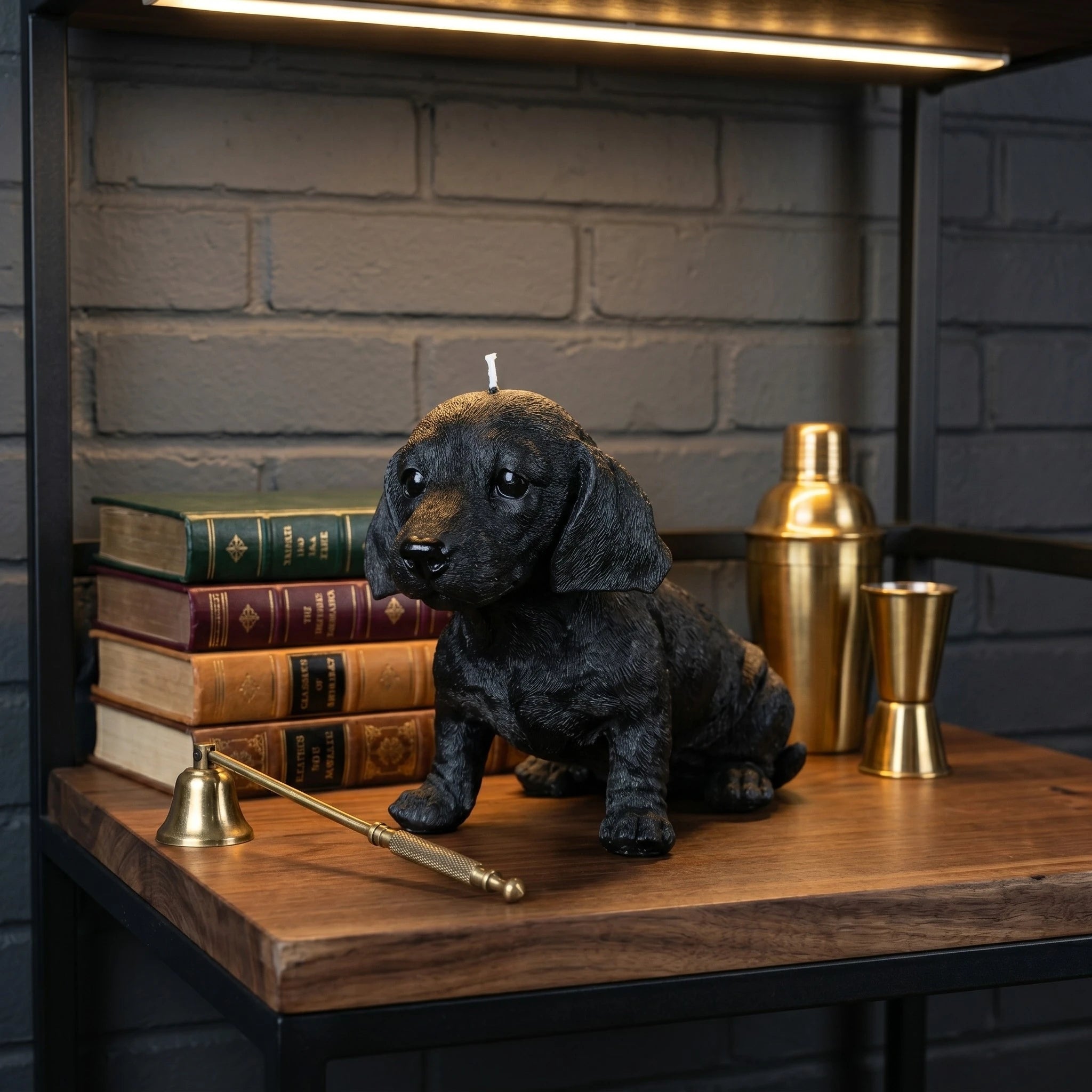 Black dachshund puppy candle lifestyle on lit bookshelf with bar accessories