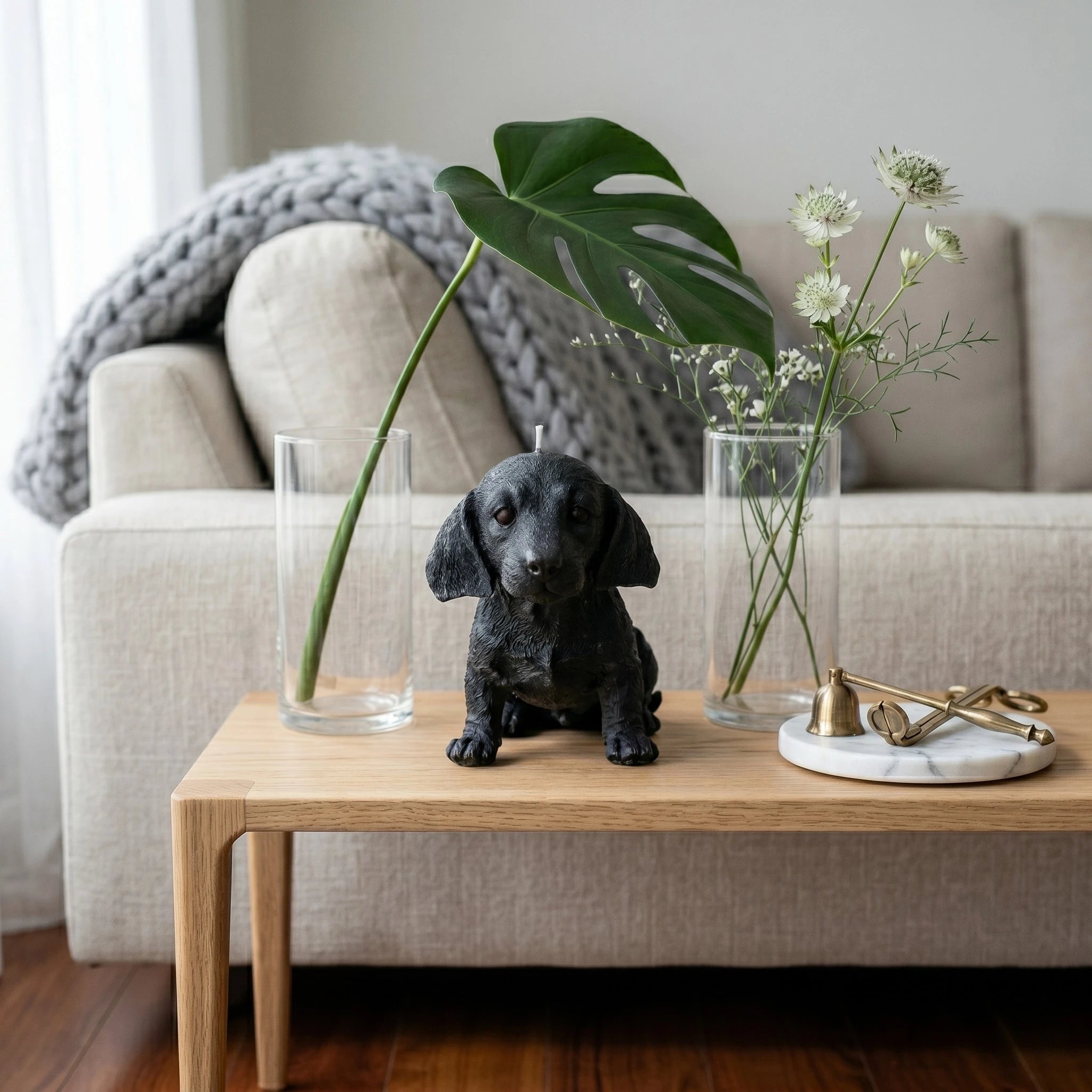 Black dachshund puppy candle lifestyle on coffee table with flowers
