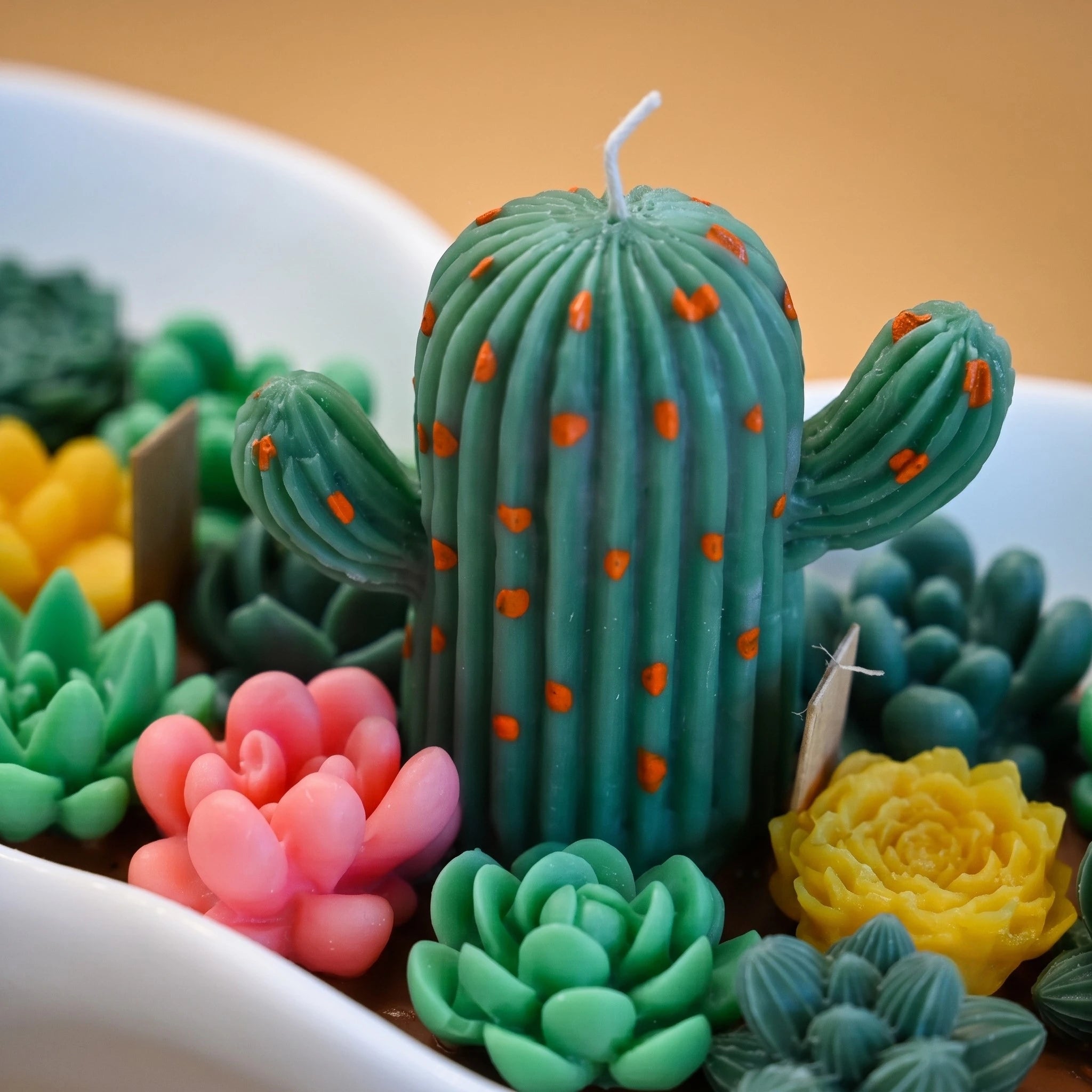 Detail of the central cactus and surrounding wax succulents on the House of Wick Desert Oasis sculptural candle